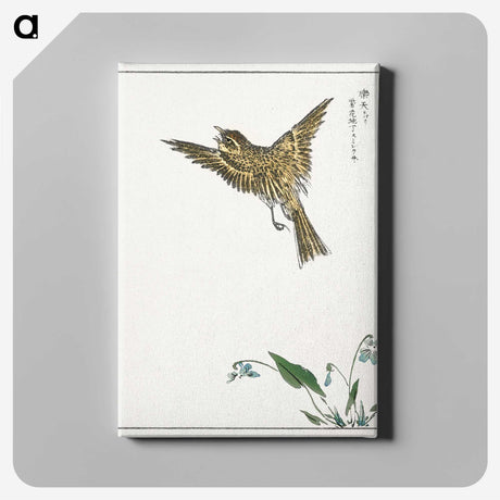 1-83_Pictorial-Monograph-of-Birds_canvas