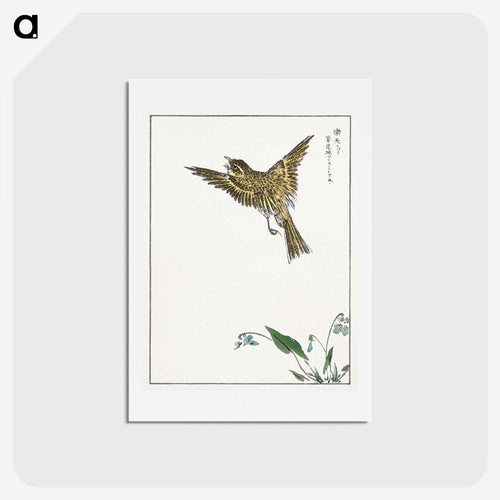 日本産タヒバリとスミレ - 鳥類図鑑 Postcard.