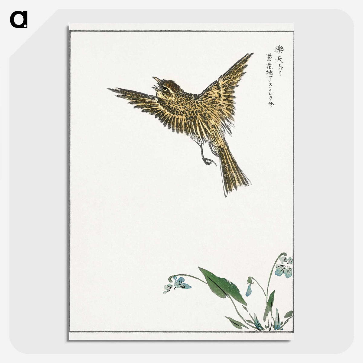 1-83_Pictorial-Monograph-of-Birds_picture-crop