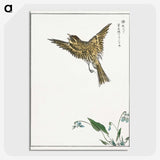 1-83_Pictorial-Monograph-of-Birds_picture-crop