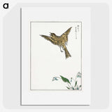 1-83_Pictorial-Monograph-of-Birds_picture