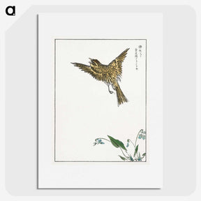 1-83_Pictorial-Monograph-of-Birds_picture