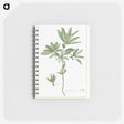 1-83_Pierre-Joseph-Redoute_memo