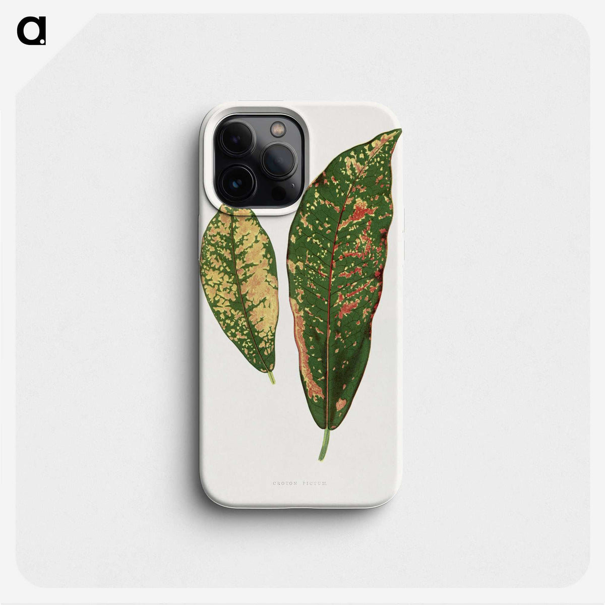 1-83_Plants-with-Colored-Foliage_phone