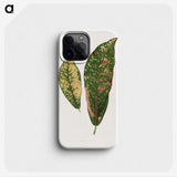 1-83_Plants-with-Colored-Foliage_phone