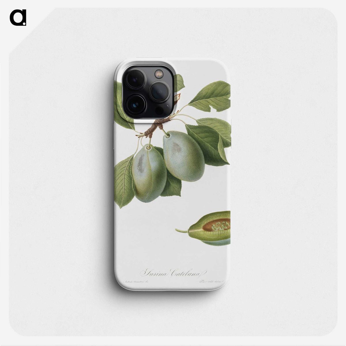 1-83_Pomona-Italiana_phone