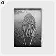 アートポストカード-Log Raft, Willamette River
 - ラッセル リー Postcard.