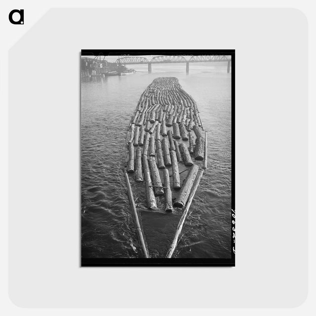 アートポストカード-Log Raft, Willamette River
 - ラッセル リー Postcard.