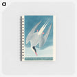 アートメモ帳-Arctic Tern from Birds of America
 - アメリカの鳥たち Memo.