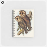 アートメモ帳-Masked Barn Owl
 - オーストラリアの鳥 Memo.