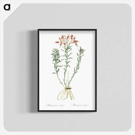 1-83_The-Lilies_blk-crop