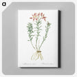 1-83_The-Lilies_canvas