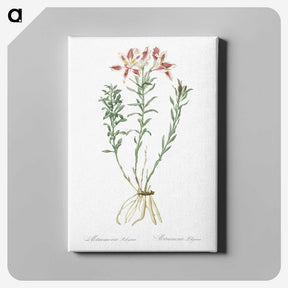 1-83_The-Lilies_canvas