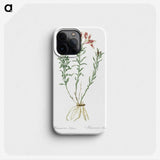 1-83_The-Lilies_phone