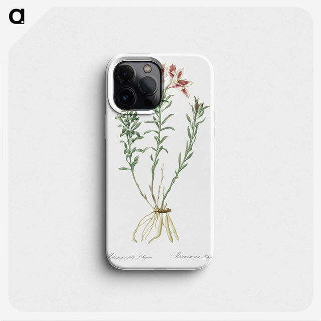 1-83_The-Lilies_phone