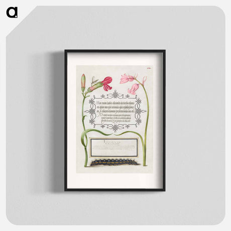 アートポスター-Imaginary Insect, Carnation, Bluebell, and Saturnid Caterpillar from Mira Calligraphiae Monumenta or The Model Book of Calligraphy
 - 書道のお手本 Poster.