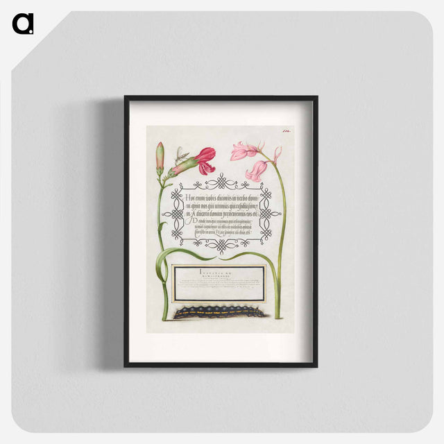 アートポスター-Imaginary Insect, Carnation, Bluebell, and Saturnid Caterpillar from Mira Calligraphiae Monumenta or The Model Book of Calligraphy
 - 書道のお手本 Poster.