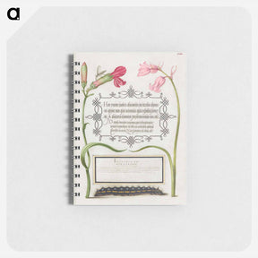 アートメモ帳-Imaginary Insect, Carnation, Bluebell, and Saturnid Caterpillar from Mira Calligraphiae Monumenta or The Model Book of Calligraphy
 - 書道のお手本 Memo.