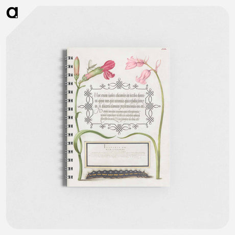 アートメモ帳-Imaginary Insect, Carnation, Bluebell, and Saturnid Caterpillar from Mira Calligraphiae Monumenta or The Model Book of Calligraphy
 - 書道のお手本 Memo.