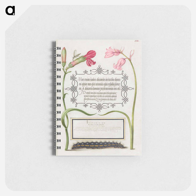アートメモ帳-Imaginary Insect, Carnation, Bluebell, and Saturnid Caterpillar from Mira Calligraphiae Monumenta or The Model Book of Calligraphy
 - 書道のお手本 Memo.