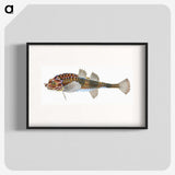 1-83_The-Natural-History-of-British-Fishes_blk