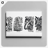 1-83_The-Open-Door-to-Independence_canvas