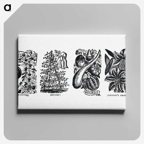 1-83_The-Open-Door-to-Independence_canvas