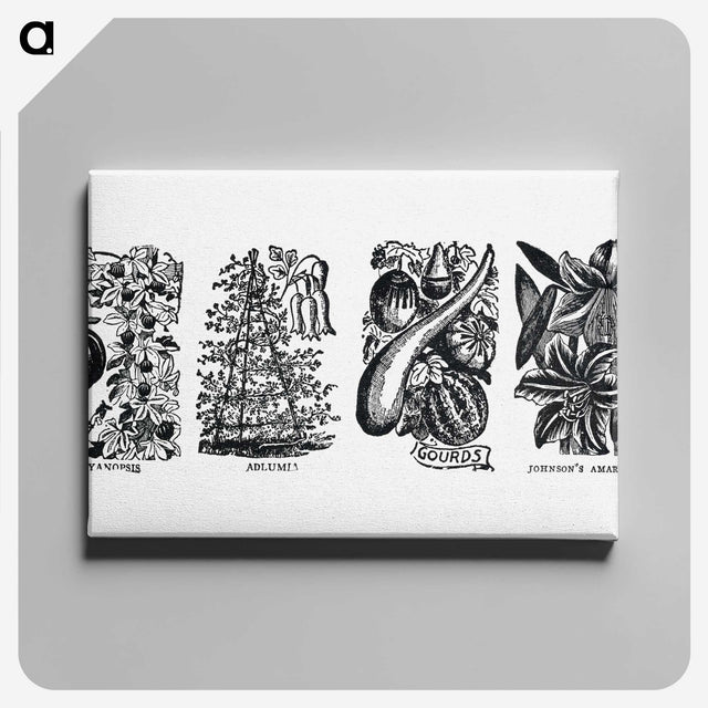 1-83_The-Open-Door-to-Independence_canvas