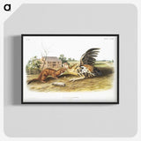 1-83_The-Viviparous-Quadrupeds_blk-crop