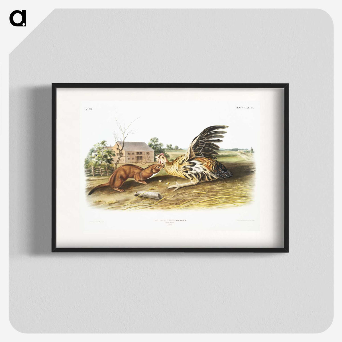 1-83_The-Viviparous-Quadrupeds_blk