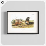 1-83_The-Viviparous-Quadrupeds_blk