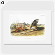 1-83_The-Viviparous-Quadrupeds_picture