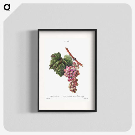 1-83_Treatise-on-Trees-and-Shrubs_blk
