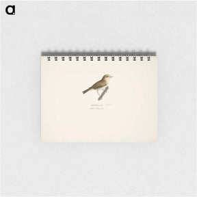 アートメモ帳-Common chiffchaff - ヴィルヘルム フォン ライト Memo.