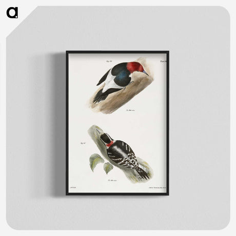 1-83_Zoology-of-New-York_blk-crop