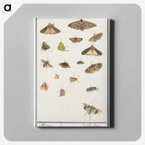 1-84_Anselmus-Boetius-de-Boodt_canvas