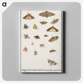 1-84_Anselmus-Boetius-de-Boodt_canvas