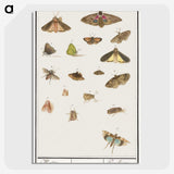 1-84_Anselmus-Boetius-de-Boodt_picture-crop