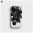 1-84_Botanical-Specimen-Plates_phone