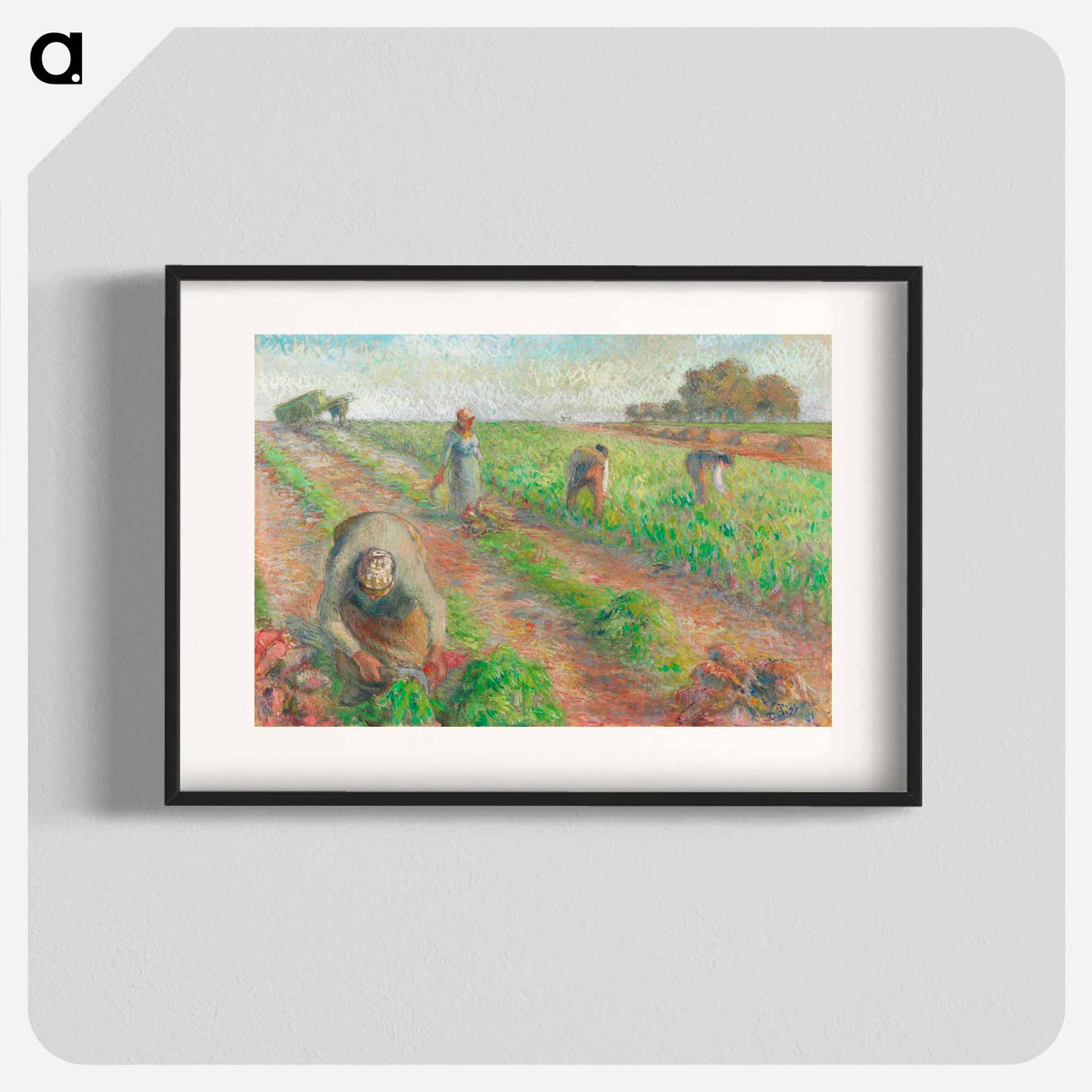 The Beet Harvest - Camille Pissarro Poster.