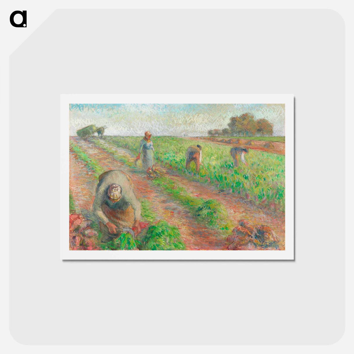 アートポストカード-The Beet Harvest - カミーユ ピサロ Postcard.