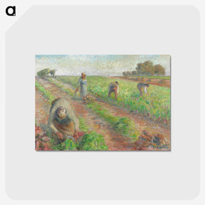 1-84_Camille-Pissarro_postcard