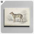 1-84_Charles-Hamilton-Smith_canvas