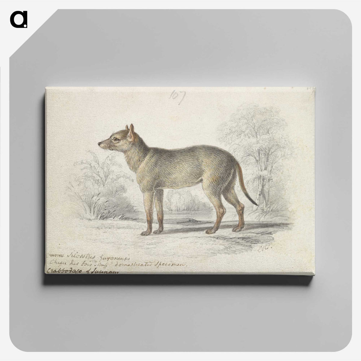 1-84_Charles-Hamilton-Smith_canvas
