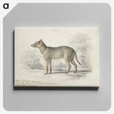 1-84_Charles-Hamilton-Smith_canvas
