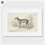 1-84_Charles-Hamilton-Smith_picture