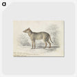 1-84_Charles-Hamilton-Smith_postcard