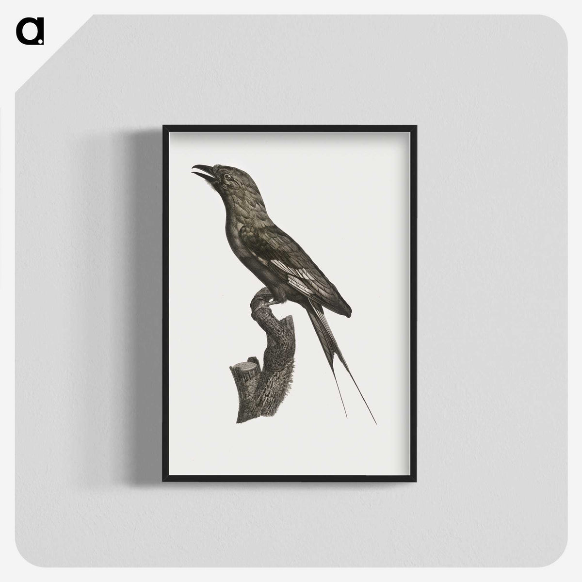 1-84_Des-Oiseaux-de-Paradis_blk-crop