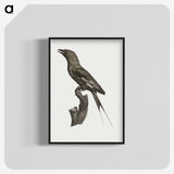 1-84_Des-Oiseaux-de-Paradis_blk-crop