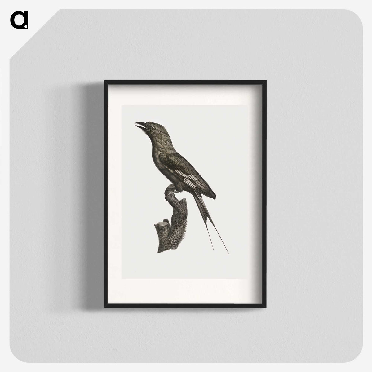 1-84_Des-Oiseaux-de-Paradis_blk